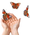 Chiropractic Brighton